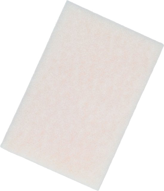 Protecton Insectenspons – Voor verwijderen van insecten en hardnekkig vuil – Voor glas, kunststof en niet-gelakte oppervlakken – 12x8x4cm - afbeelding 2